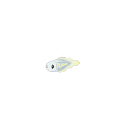 Pokemon #0602